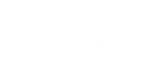 premier league